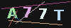 Gambar captcha